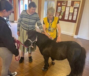 Ponies visit our club