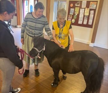 Ponies visit our club